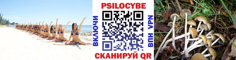 Псилоцибиновые грибы GOLDEN TEACHER Купить закладки Комсомольск